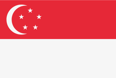 Singapore Flag - Vanyom Export Global Market
